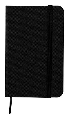 Pushkin notebook