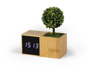 EVERGREEN, Stoni sat