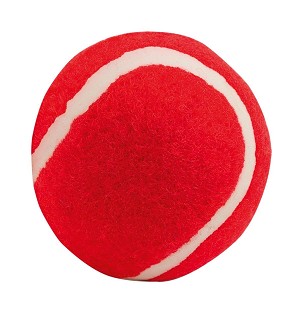 Ball for dogs