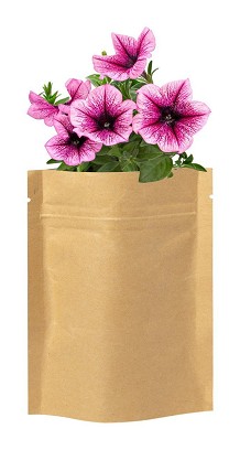 Sober flower planting kit