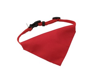 Roco dog's collar