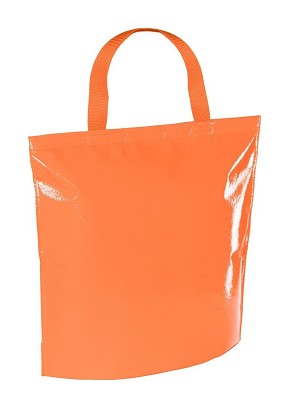Hobart cooler bag